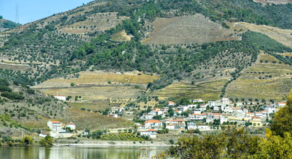 Douro Valley