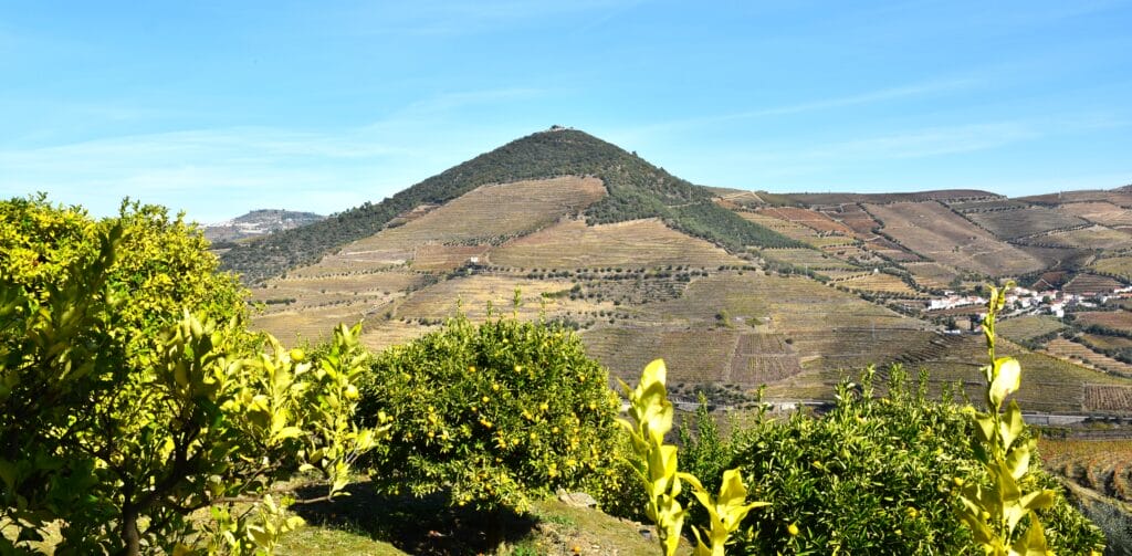 Douro Valley