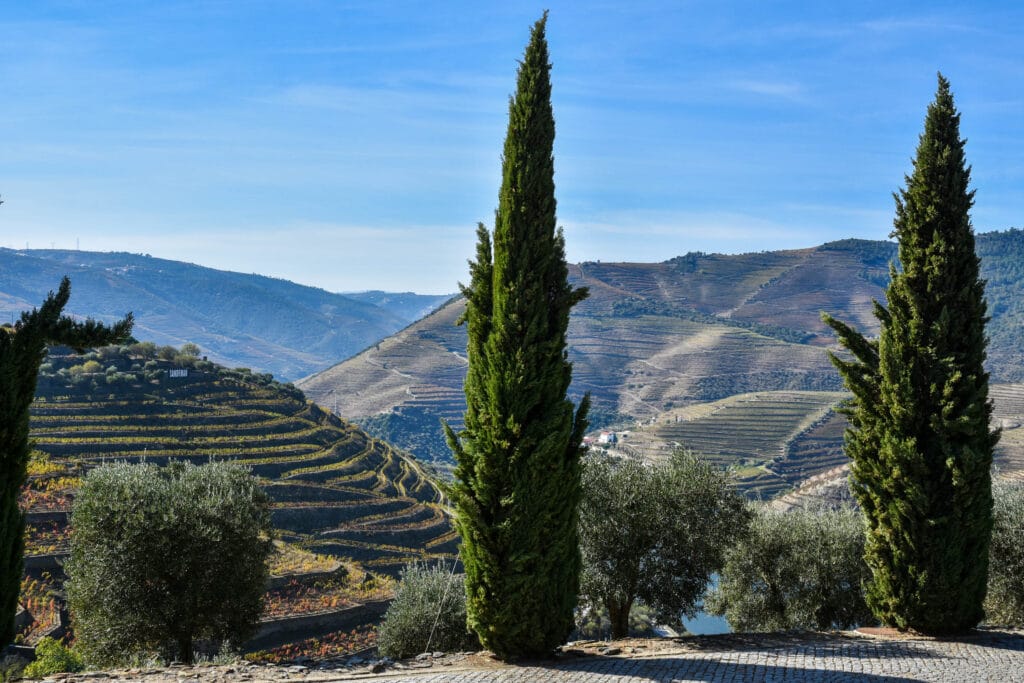 Douro Valley