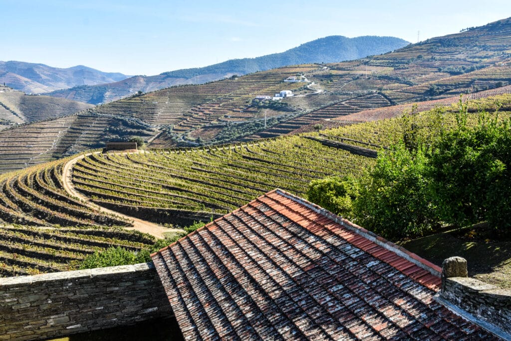 Douro Valley