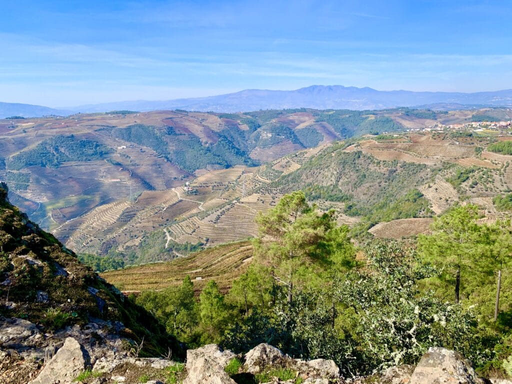 Douro Valley