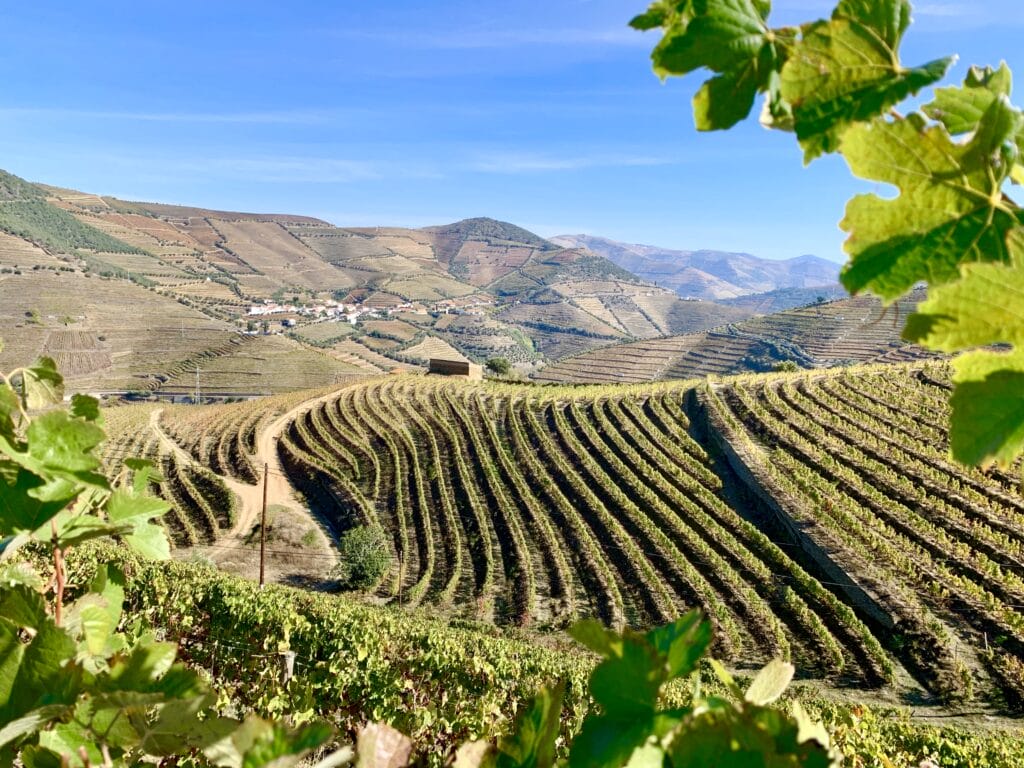 Douro Wine Region, Portugal UNESCO World Heritage Sites