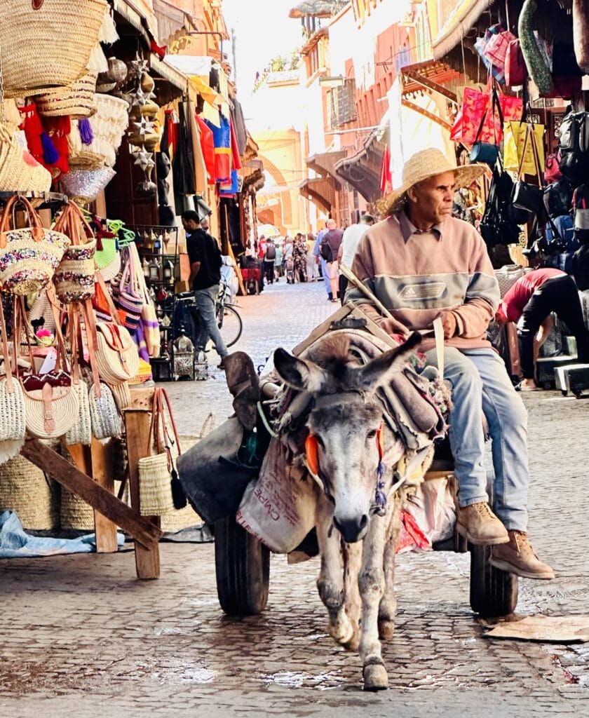 Markets of Morocco