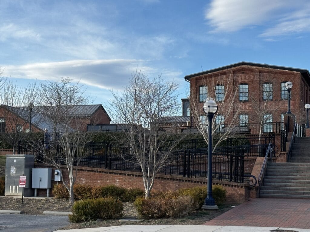 Steinhardt