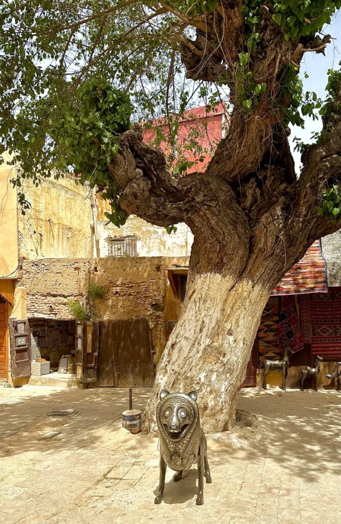 Markets of Morocco