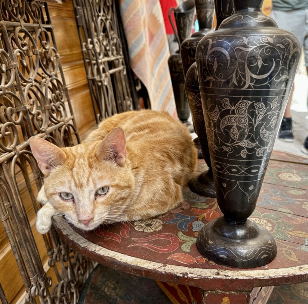 Markets of Morocco