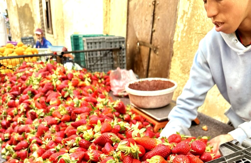 Markets of Morocco