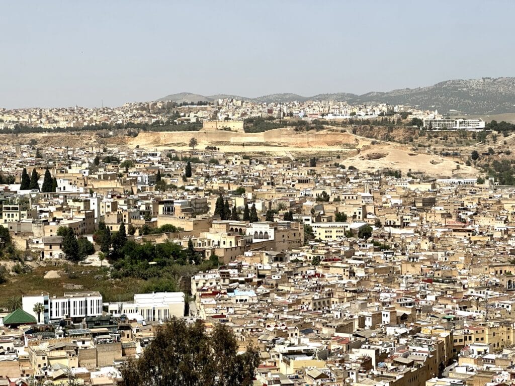IMG 7662