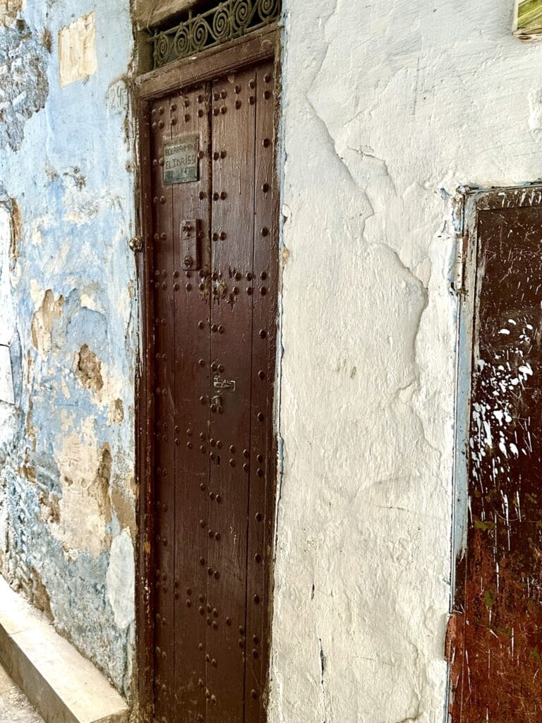 IMG 7683
