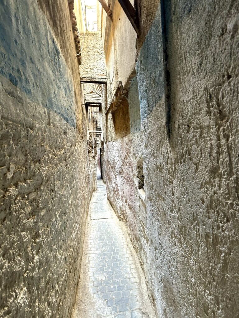 IMG 7692