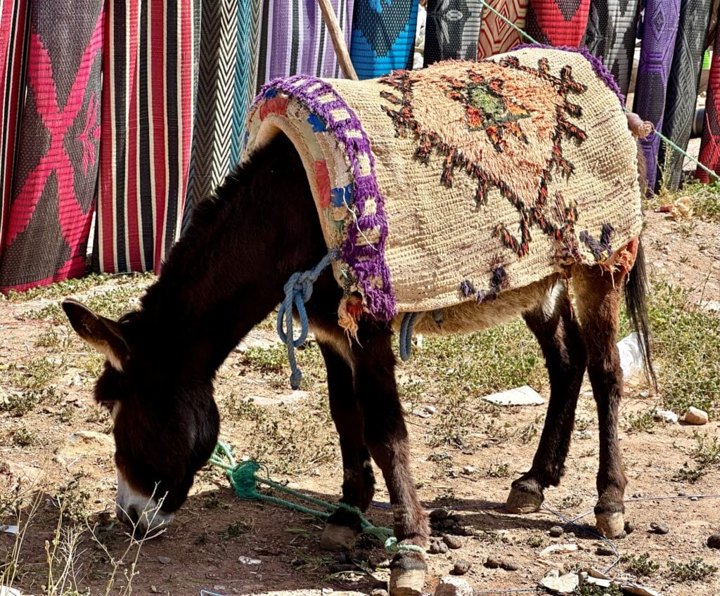 Markets of Morocco
