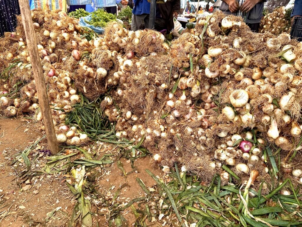 Markets of Morocco