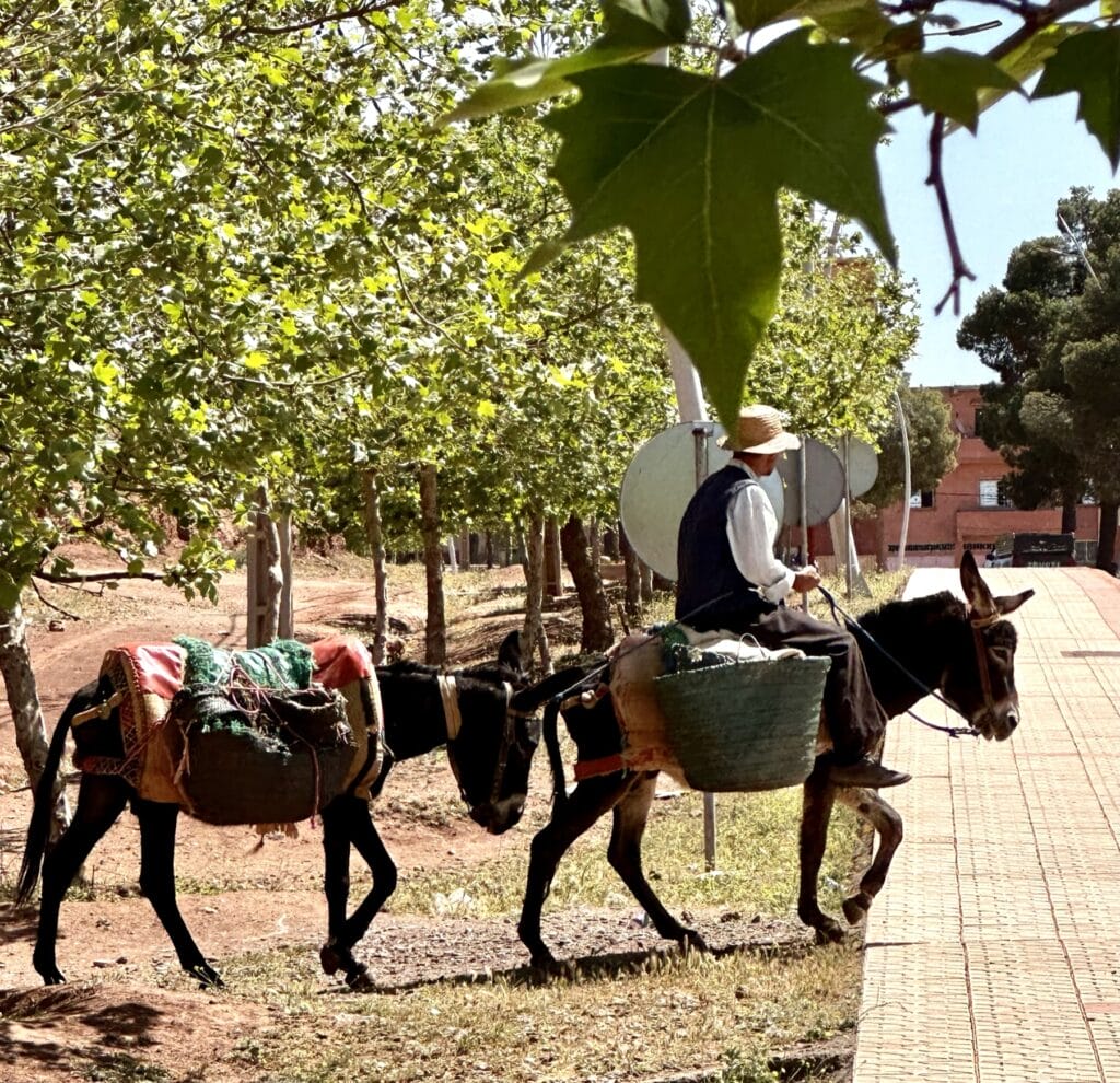 Markets of Morocco