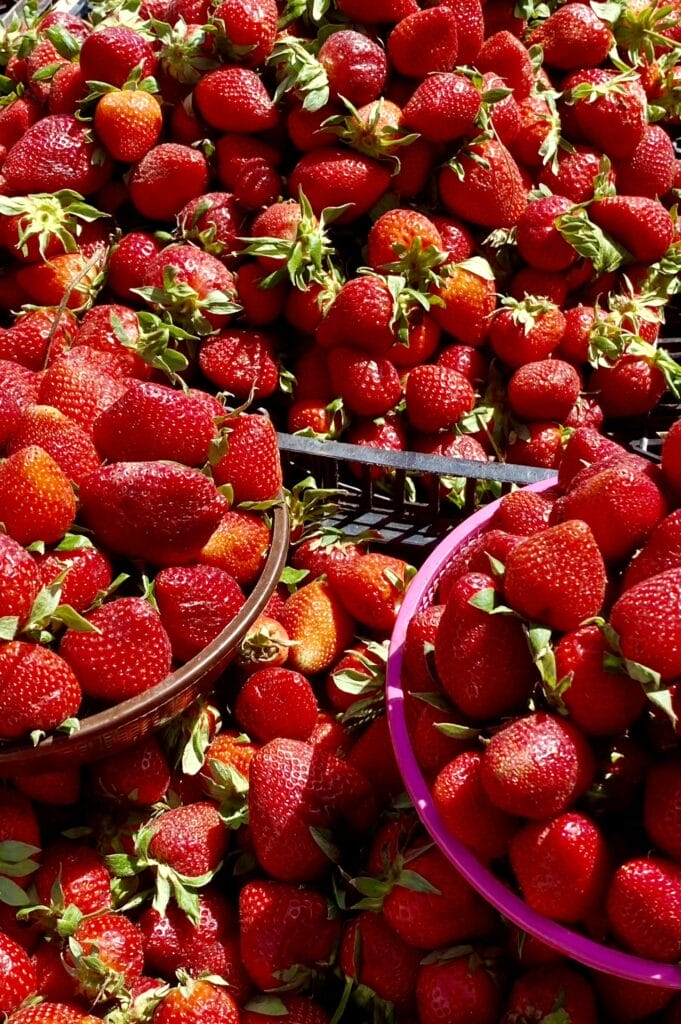 Markets of Morocco