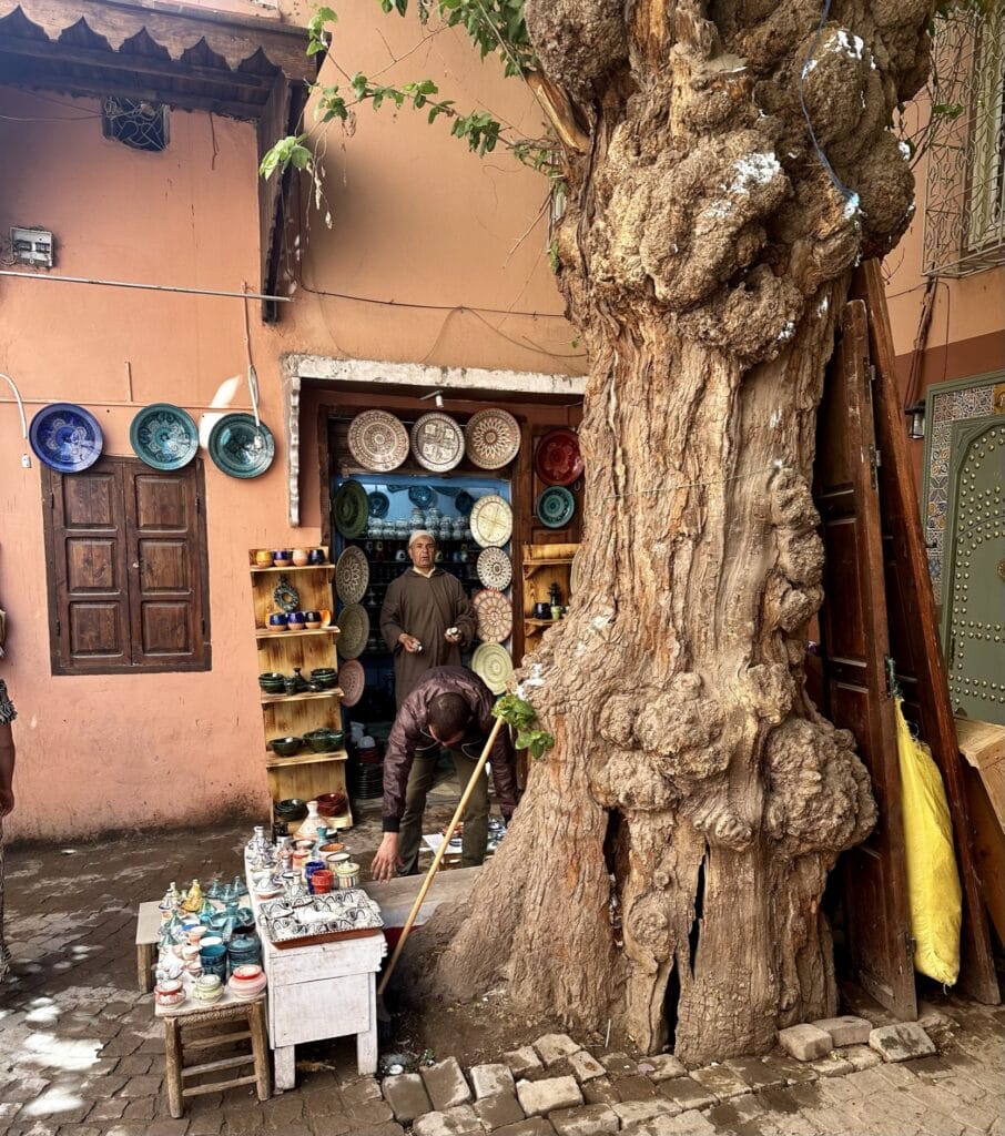 Markets of Morocco