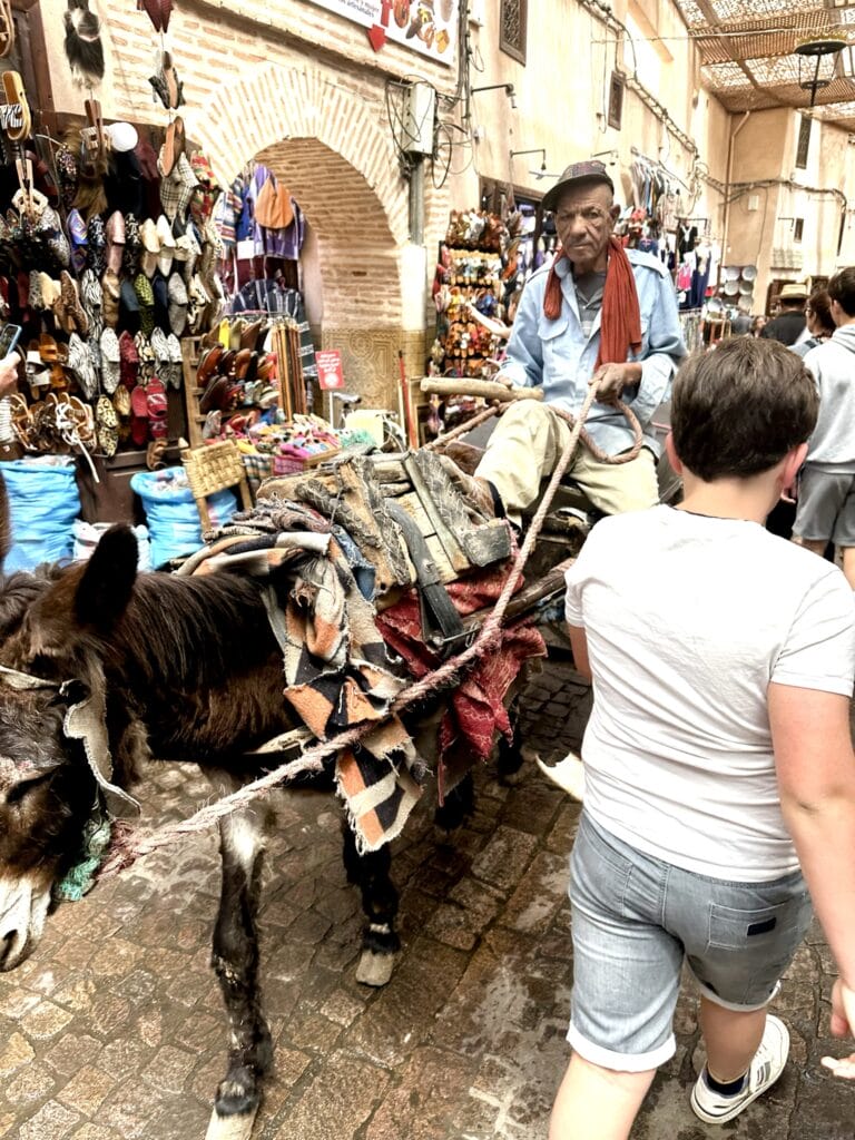 Markets of Morocco