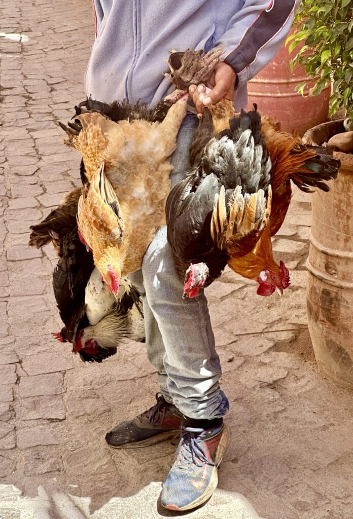 Markets of Morocco