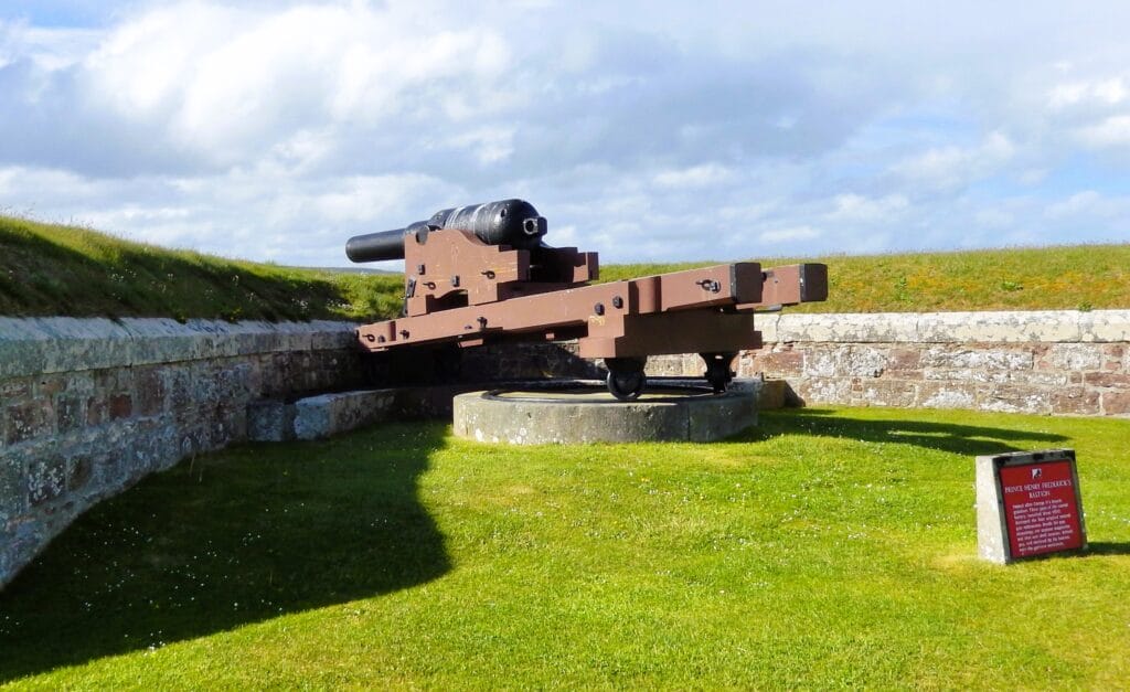 Gun