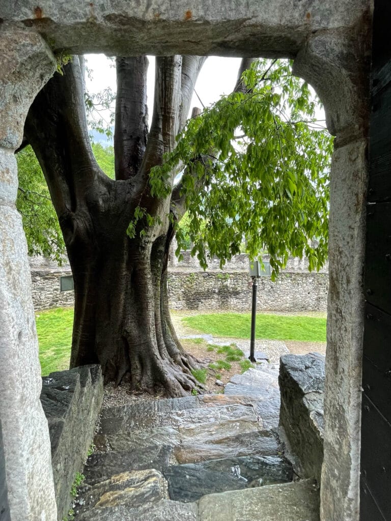Bellinzona Switzerland, Bellinzona Switzerland – A Jewel in the Swiss Crown