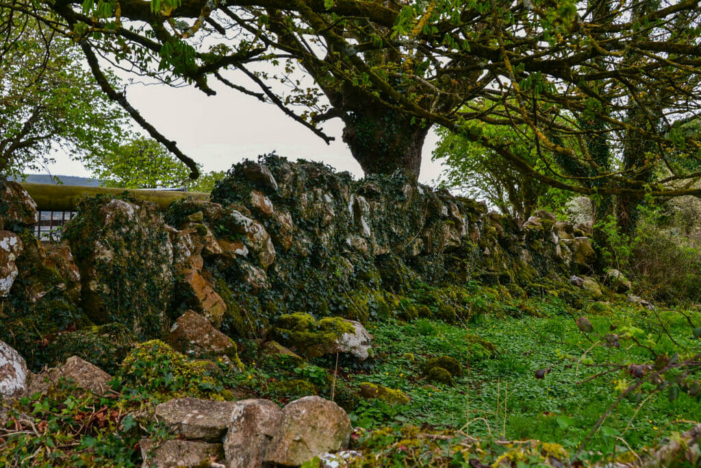 Bunratty Castle
