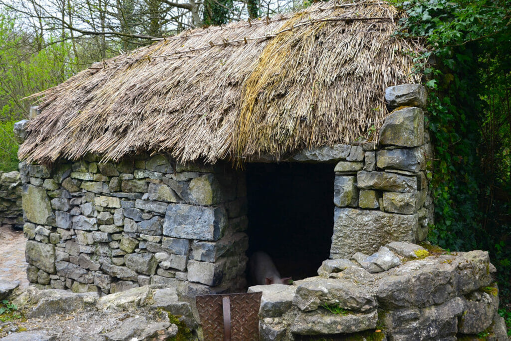 Bunratty Village Home