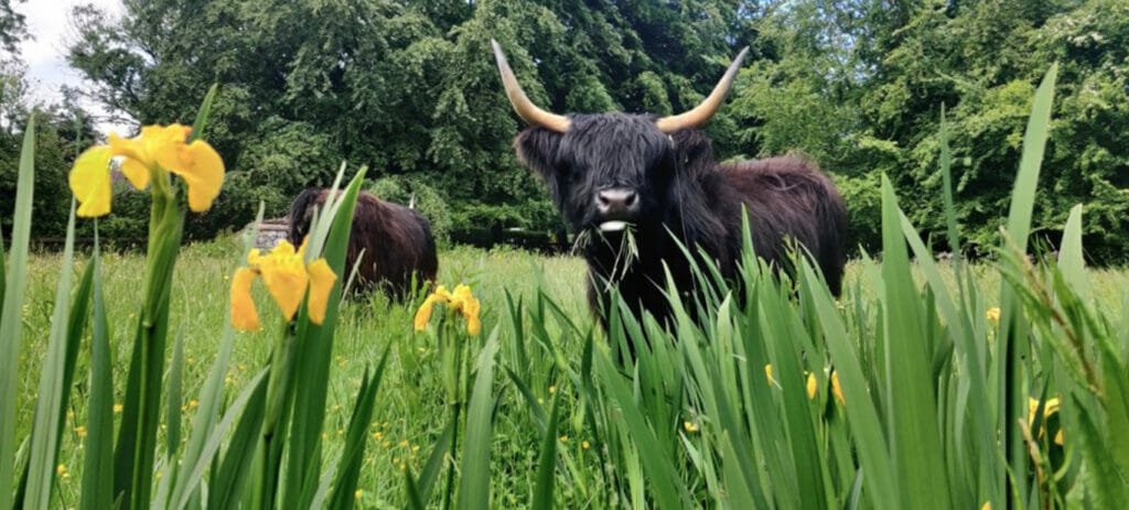 Bunratty Castle, Travel Through History at Bunratty Castle &amp; Folk Park