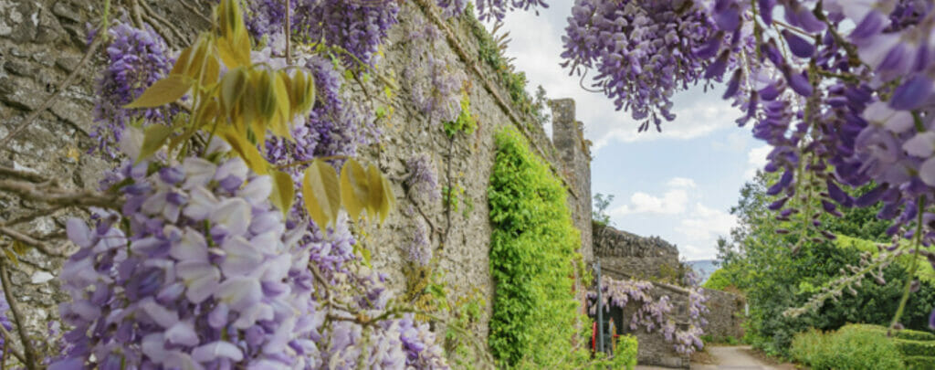 Bunratty Castle, Travel Through History at Bunratty Castle &amp; Folk Park