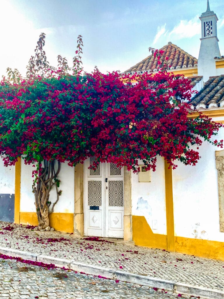 Tavira