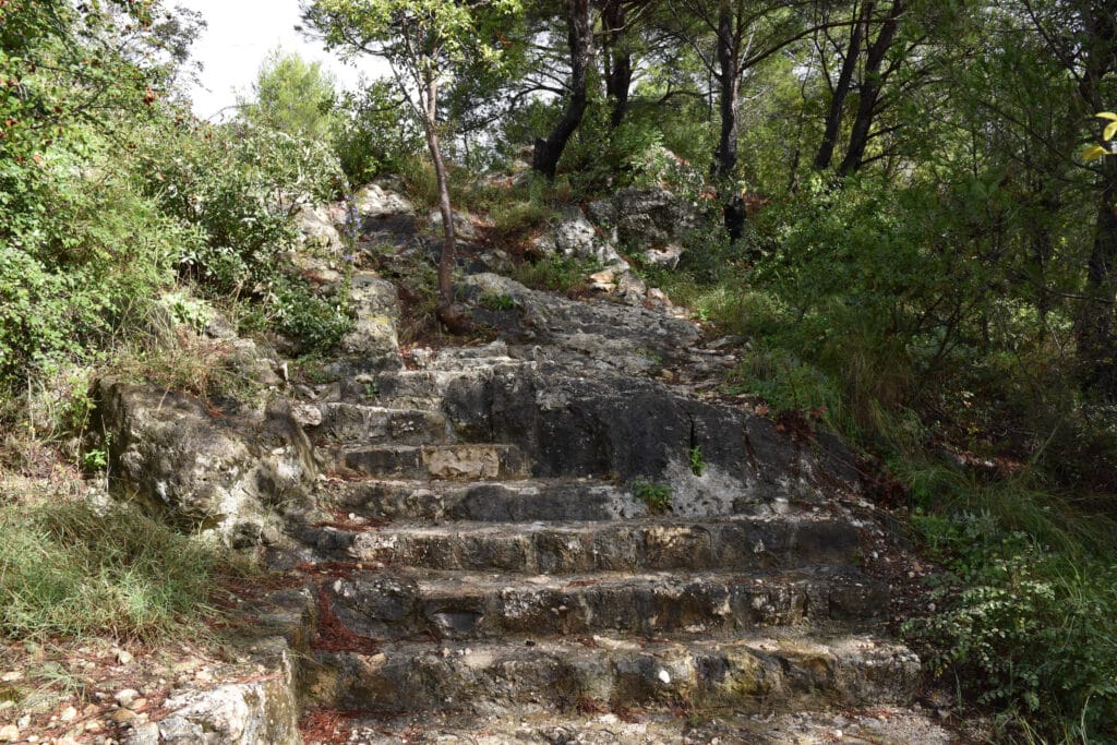 Stairs to castle