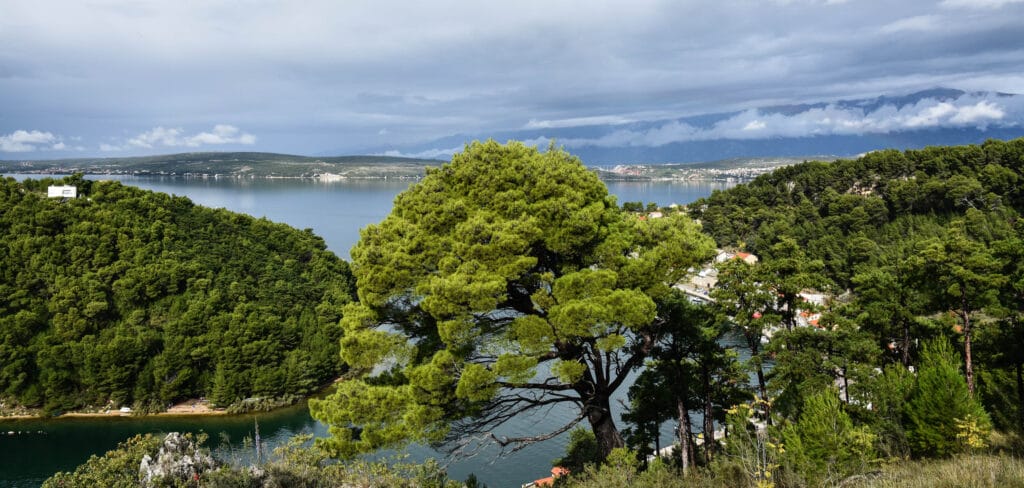 Novigrad