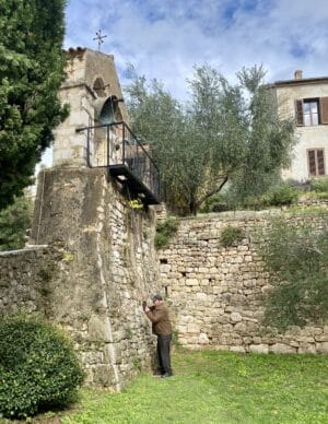 Novigrad