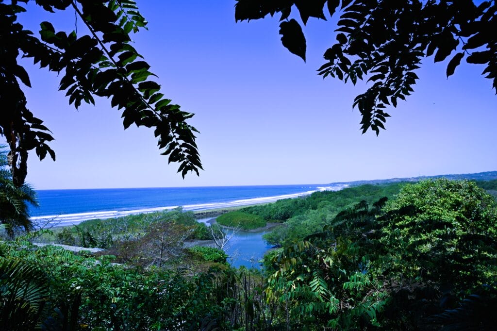 View