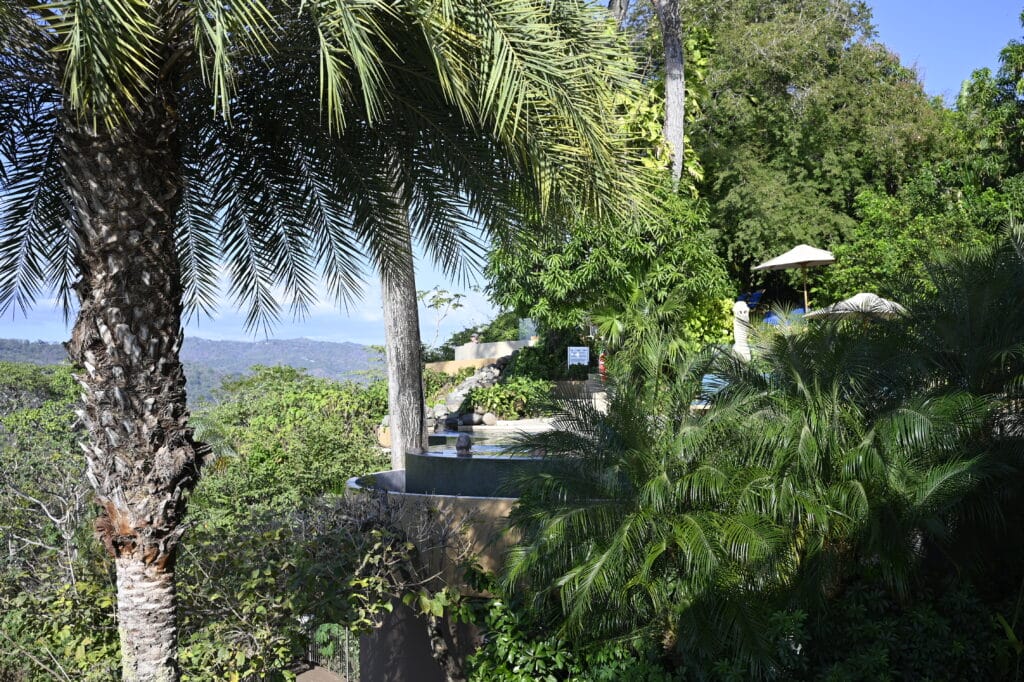 Hotel Boutique Lagarta Lodge