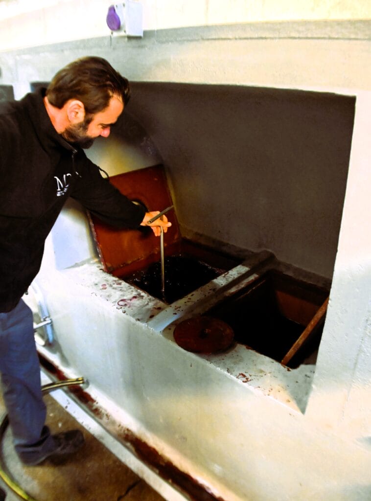 Wine tasting from the vats
