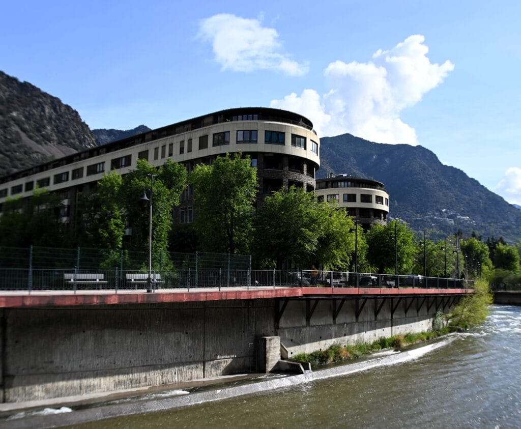 DSC 5919