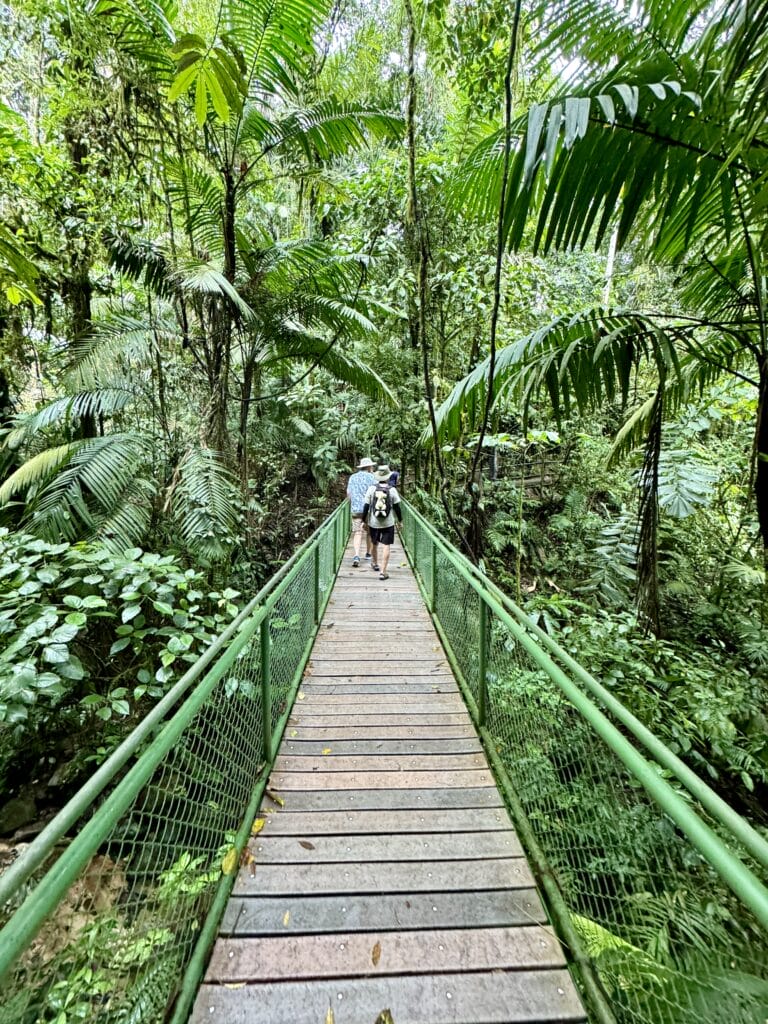 Costa Rica Daytrup