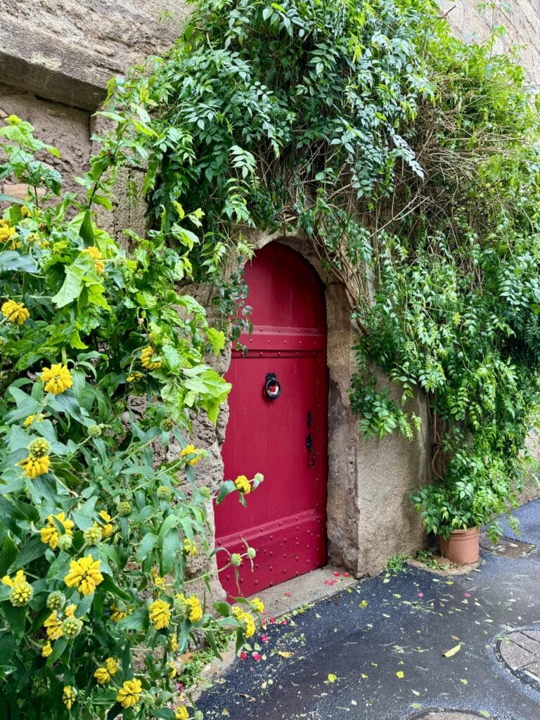 Pezenas Door Front