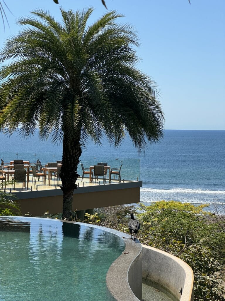 Lagarta Lodge