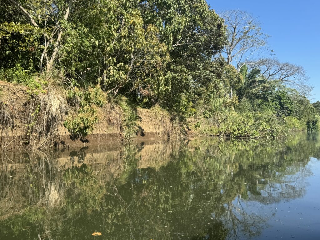 Nosara River
