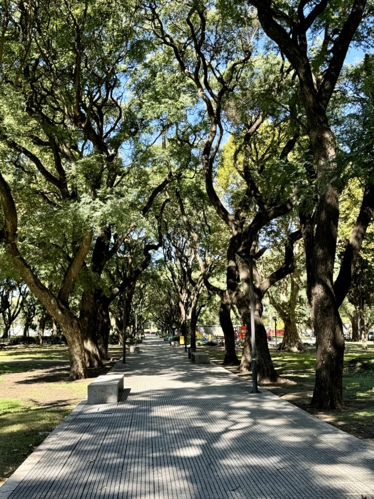 Park with trees