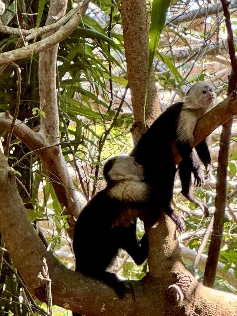 Costa Rica Daytrip