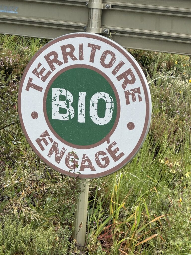 Organic vineyards