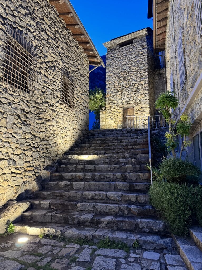 IMG 9279