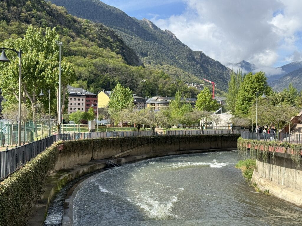 IMG 9550