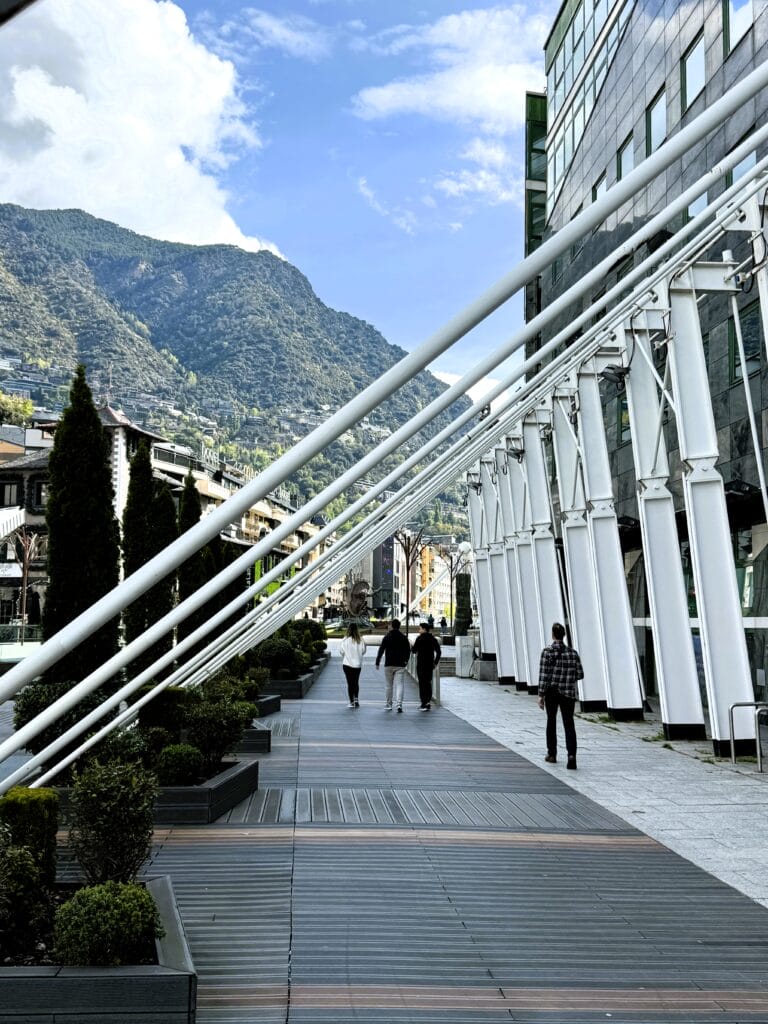 IMG 9555
