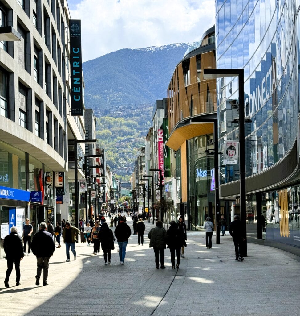 IMG 9584