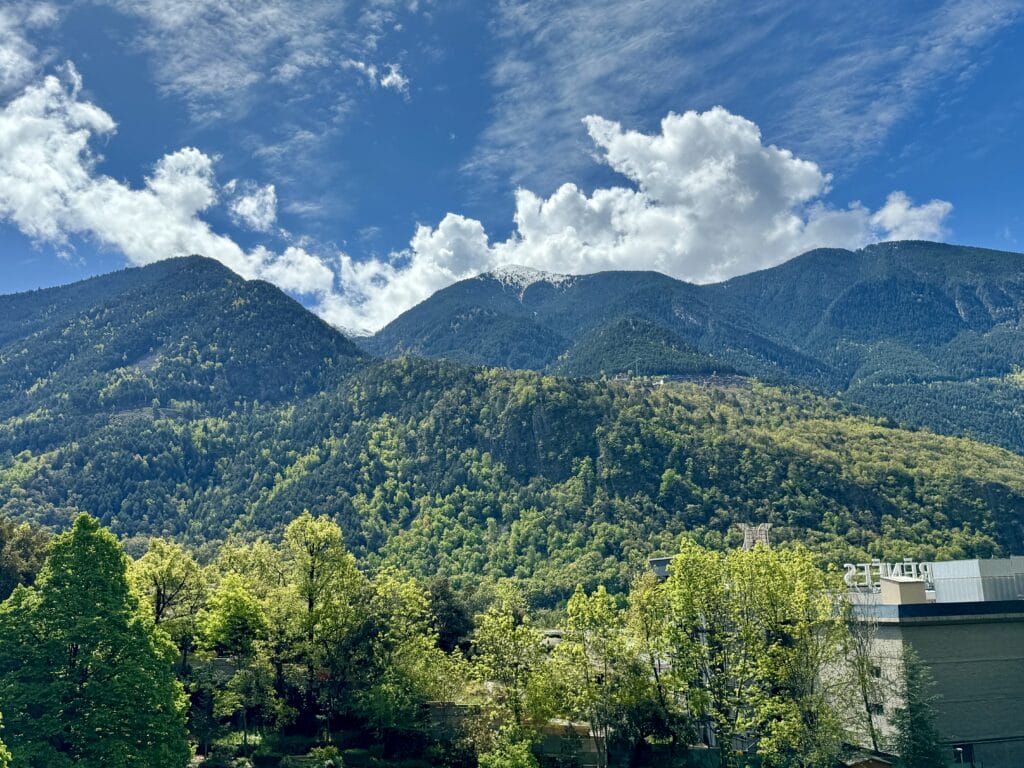IMG 9680