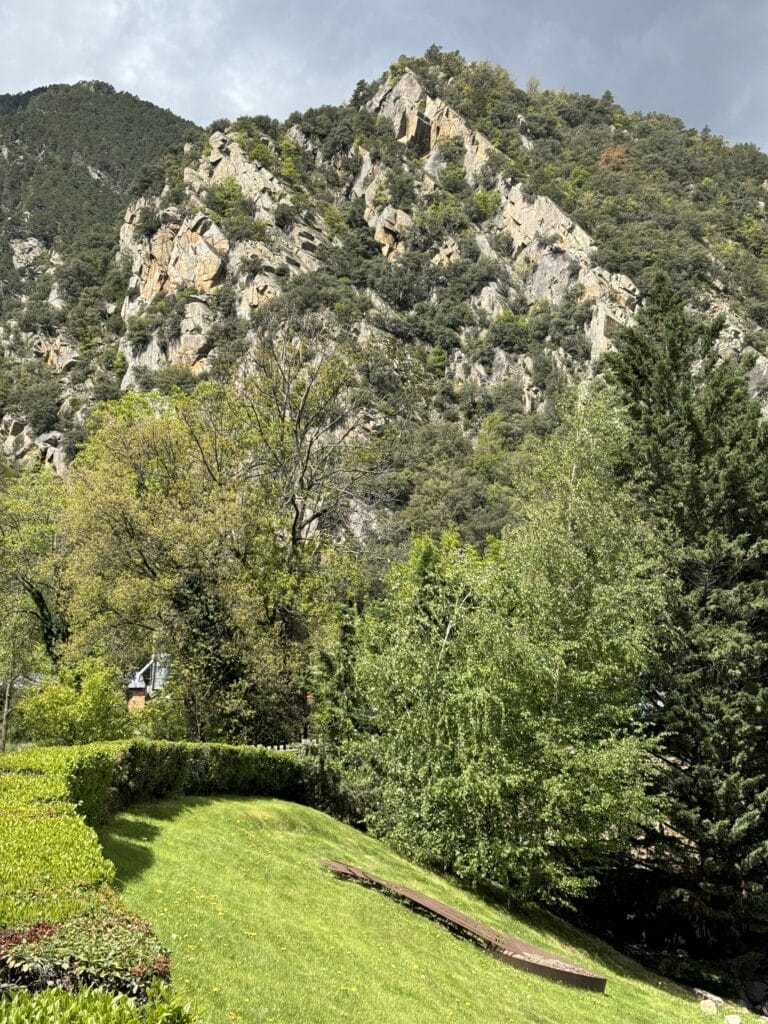 IMG 9703
