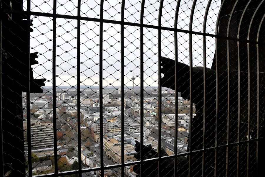 View from top of Cologne Cathedral