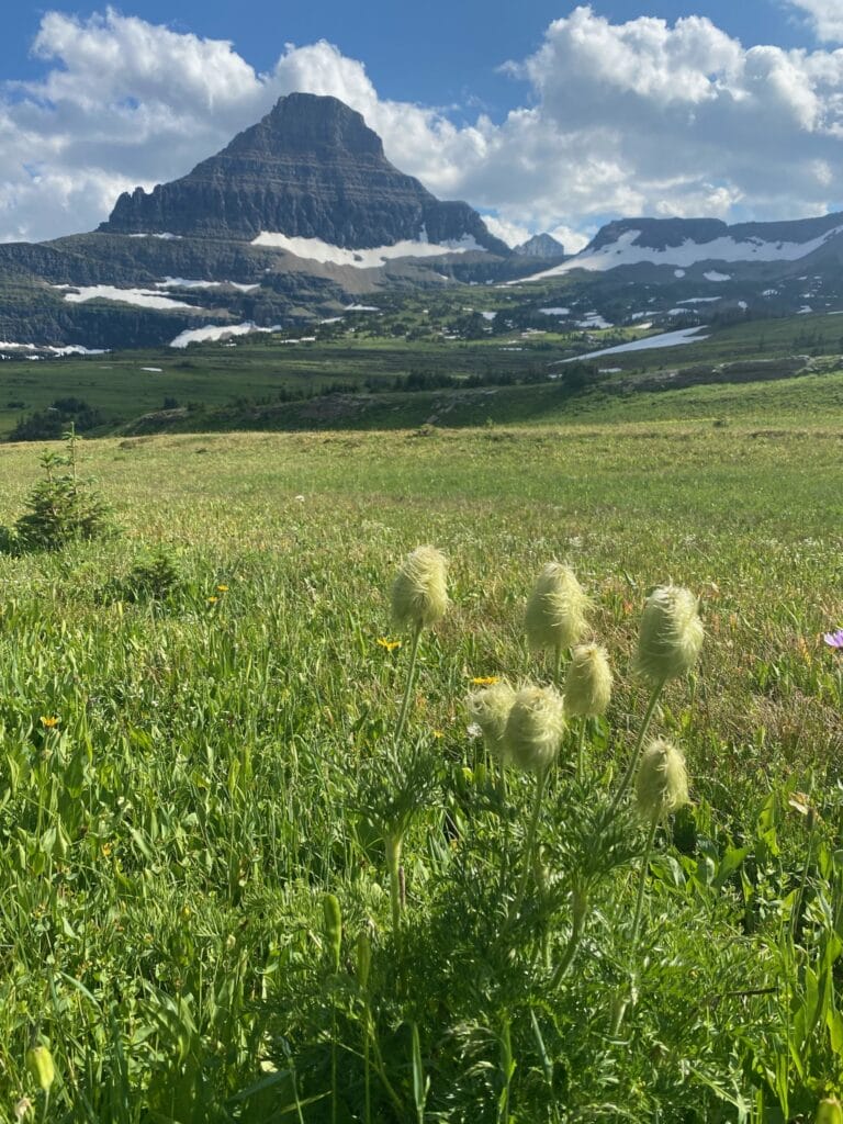 Glacier National Park